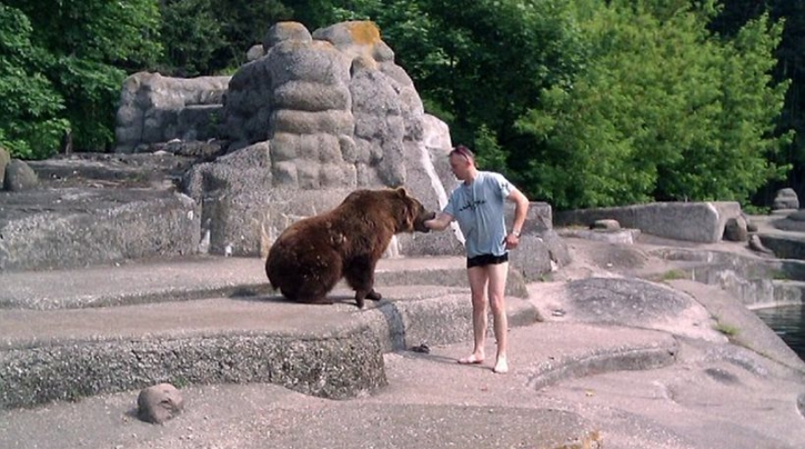 Εισβολέας ζωολογικού κήπου τα... έβαλε με αρκούδα - Δείτε τι έπαθε!