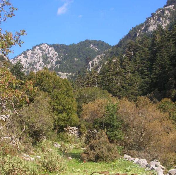 taugetos