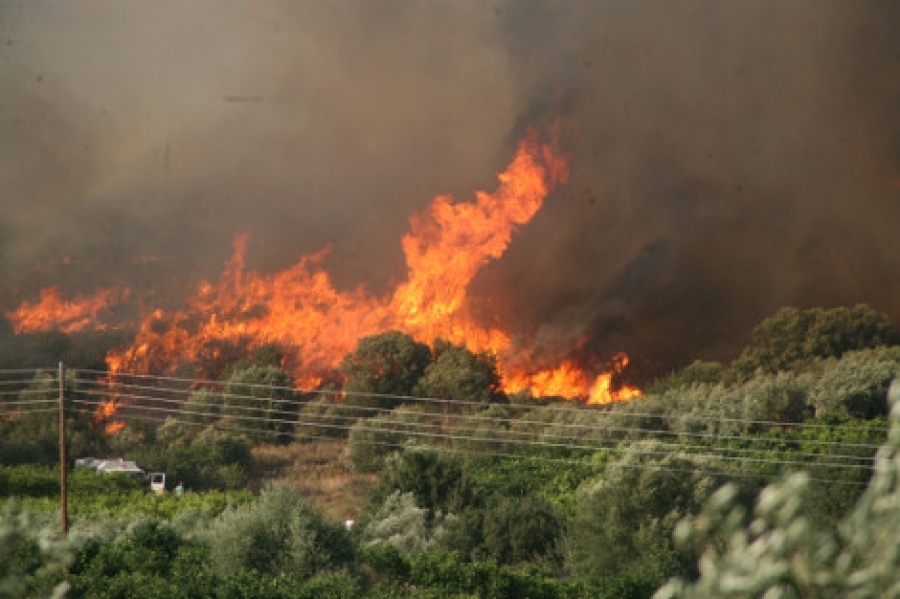 4ee6b7aabedcd13a83e7039dd7c41c38_XL Σε ύφεση ο πύρινος εφιάλτης της Ηλείας