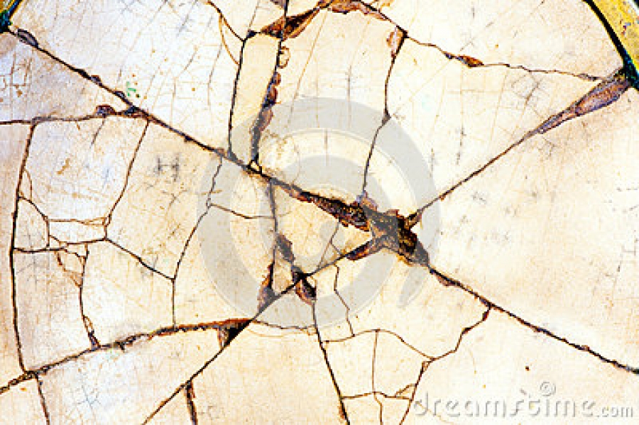 d0ff0cb2731033a326064aa24d616bbe_XL Εξαφανίστε εύκολα τις ρωγμές από τις πορσελάνες σας!