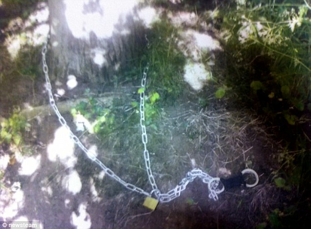 2D5337CA00000578-0-image-a-103_1444660922325.jpg