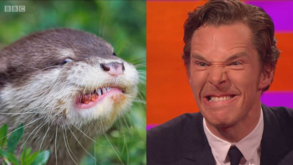 Benedict-Cumberbatch1