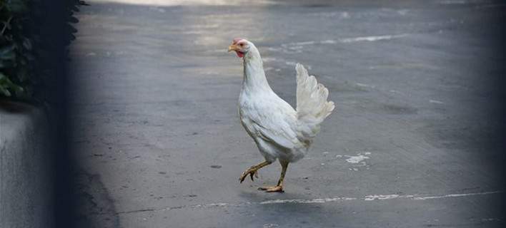 Πρώτο Θέμα