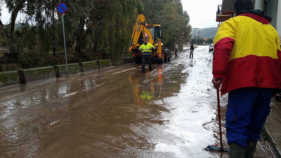 Καλλονή 