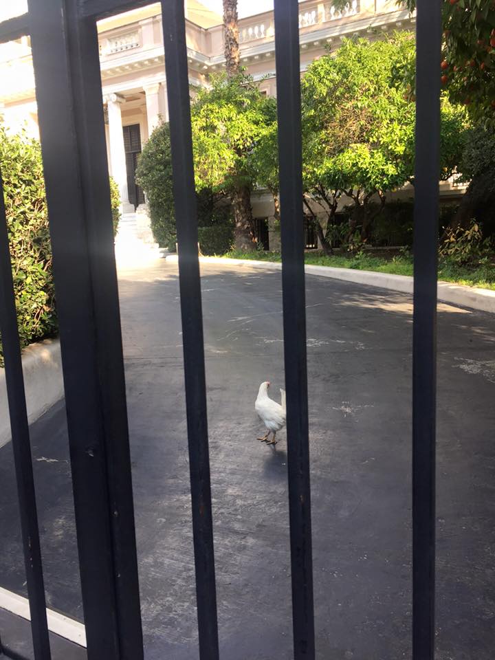 Κότα