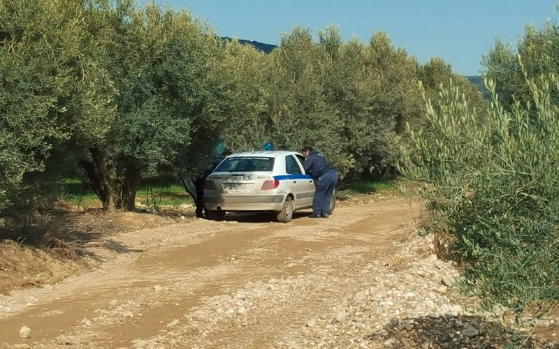Κρυσφήγετο