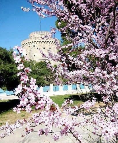 Χάρρυ Κλυνν