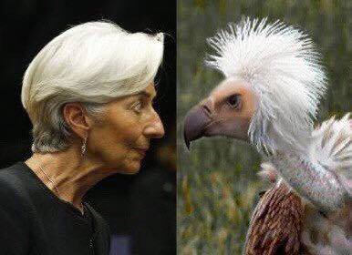 πουλί