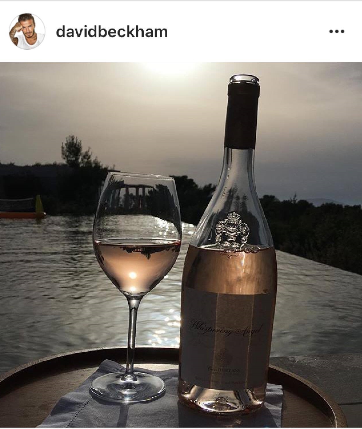 david