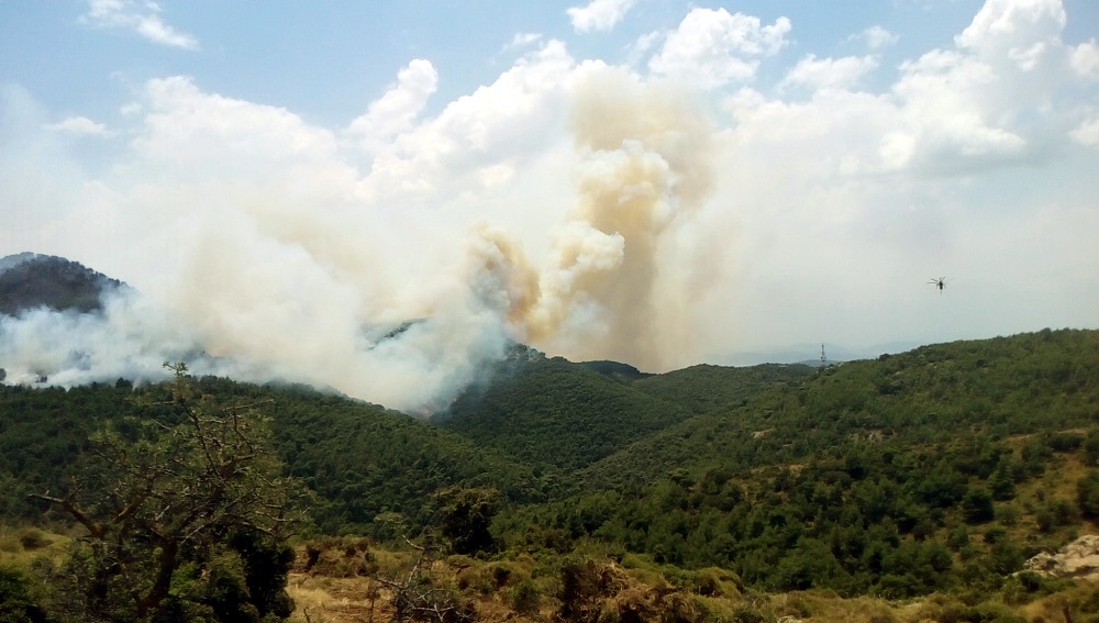 φωτιά Βοιωτία