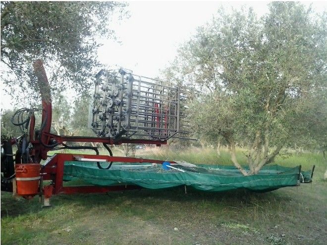Έλληνες αγρότες οι καλύτεροι της Ευρώπης