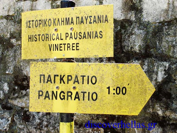 κλήμα 