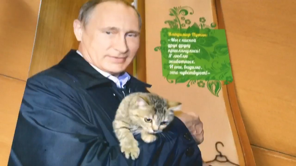 ;