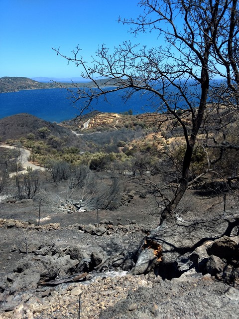 Τρεις μέρες καίει η πυρκαγιά στην ανατολική Μάνη