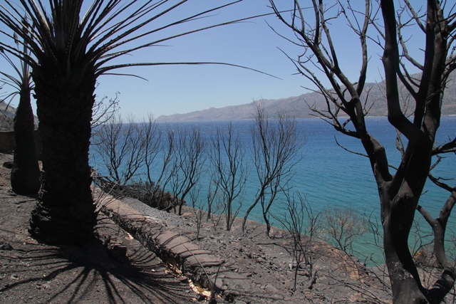 Τρεις μέρες καίει η πυρκαγιά στην ανατολική Μάνη