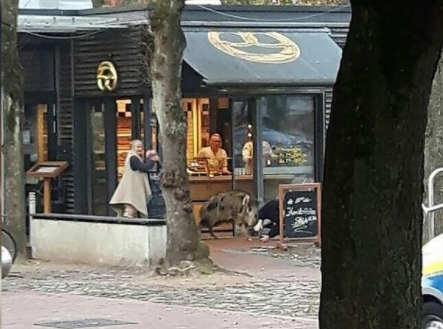 222