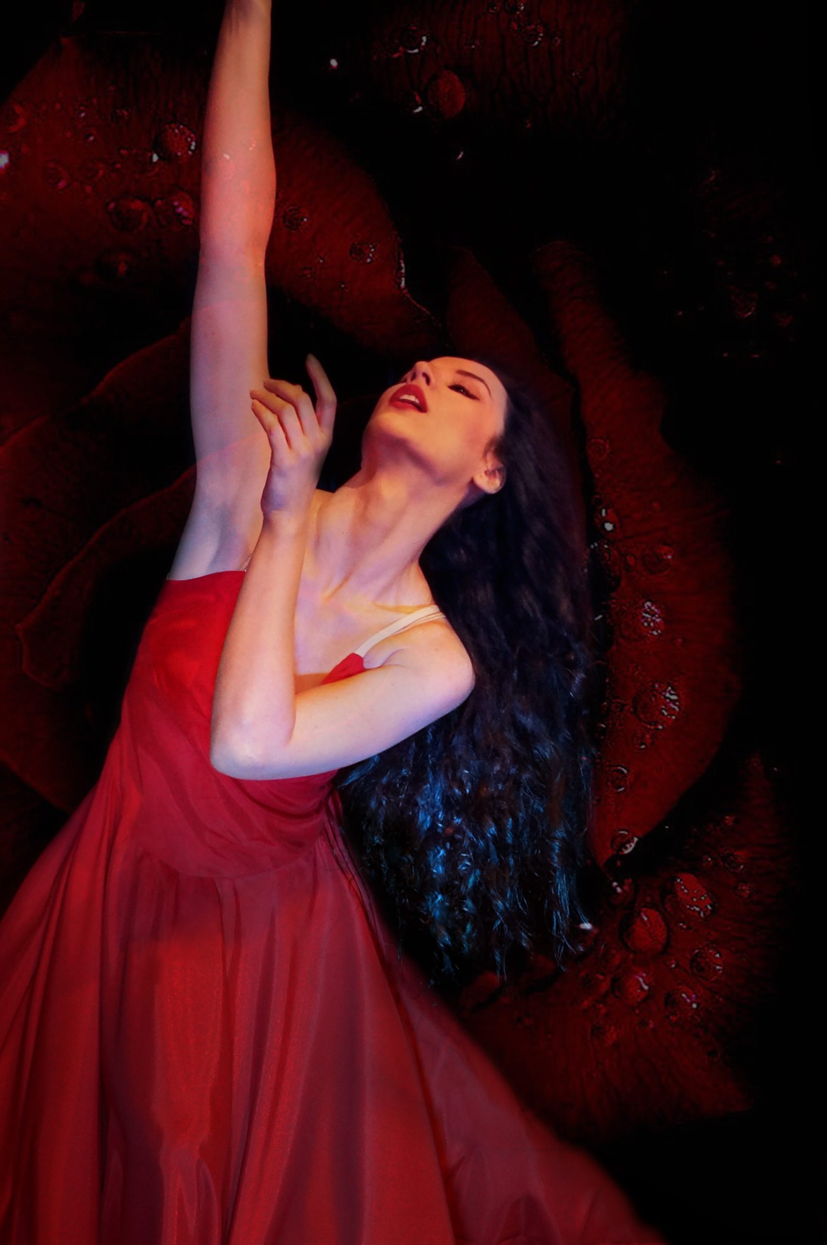 «Η Σονάτα Του Σεληνόφωτος» για δεύτερη φορά στο Παρίσι 