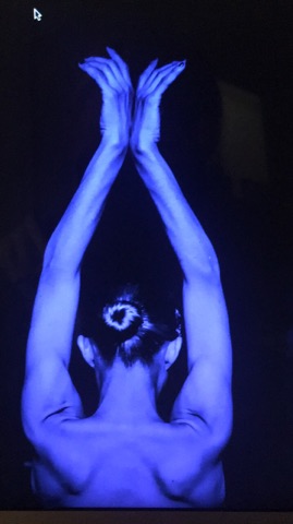 Syllekths