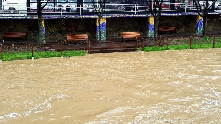 ερςςεφ