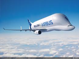 Beluga Airbus