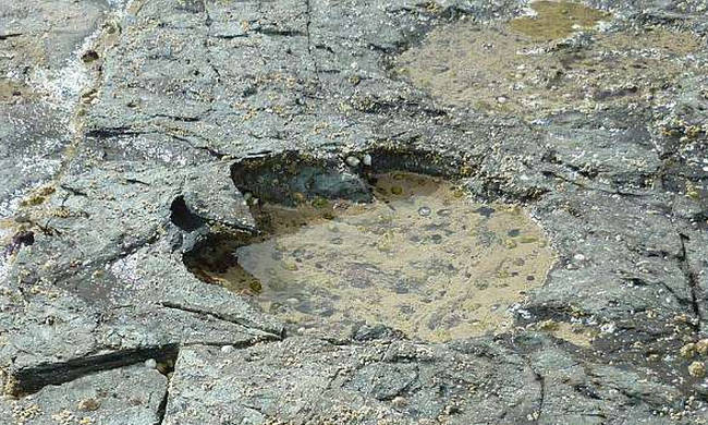 Αυτά είναι τα χνάρια του μεγαλύτερου δεινοσαύρου όλων των εποχών 