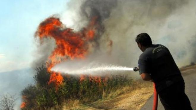 Υπό μερικό έλεγχο η μεγάλη φωτιά στον Πύργο