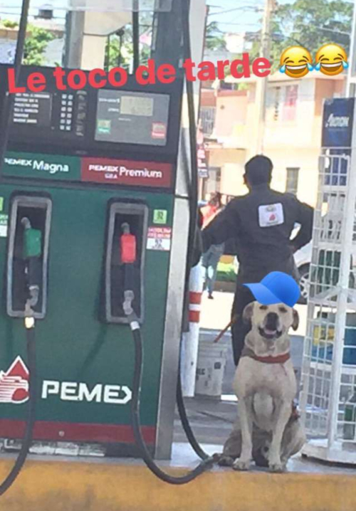 ξηγξγξ