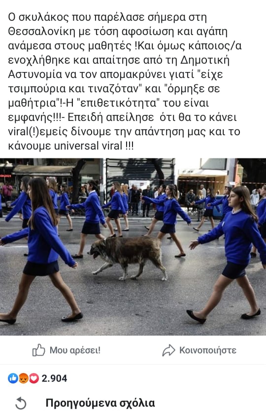 Θεσσαλονίκη - Σκύλος - Παρέλαση