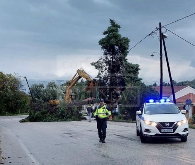 Θυελλώδεις άνεμοι έριξαν δέντρα στην Κέρκυρα