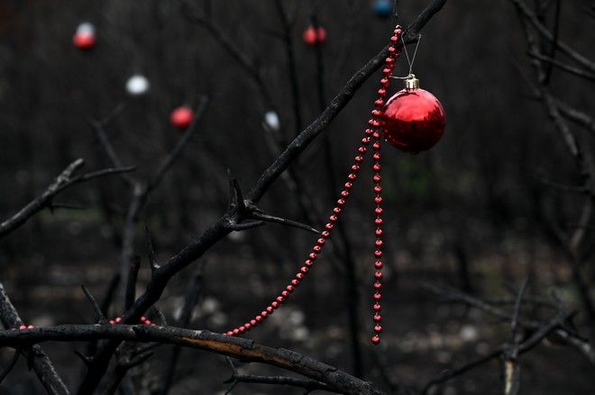 Οι κάτοικοι της Βαρυμπόμπης στόλισαν τα καμμένα δέντρα τους