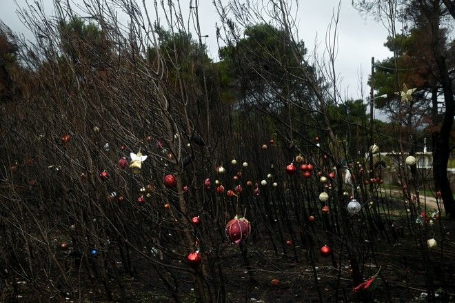 Οι κάτοικοι της Βαρυμπόμπης στόλισαν τα καμμένα δέντρα τους