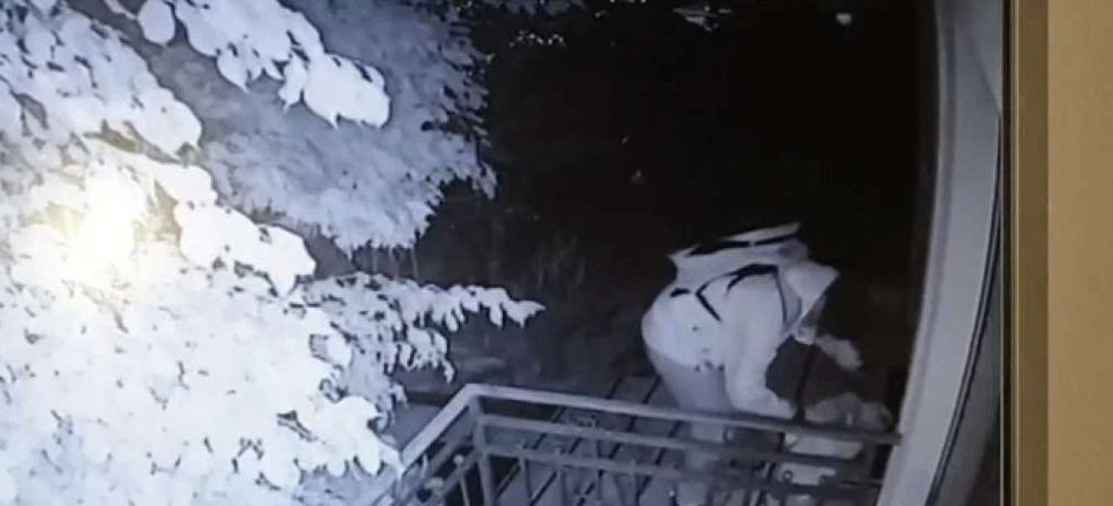 Αυτοί είναι οι 11 σκληροί χούλιγκαν, δράστες της δολοφονίας του Αλκη Καμπανού<p>Πηγή: <a target="_blank" href="https://www.iefimerida.gr">iefimerida.gr</a> - <a target="_blank" href="https://www.iefimerida.gr/ellada/dolofonia-alki-kampanoy-aytoi-einai-oi-11-drastes">Αυτοί είναι οι 11 σκληροί χούλιγκαν, δράστες της δολοφονίας του Αλκη Καμπανού - iefimerida.gr</a></p>
