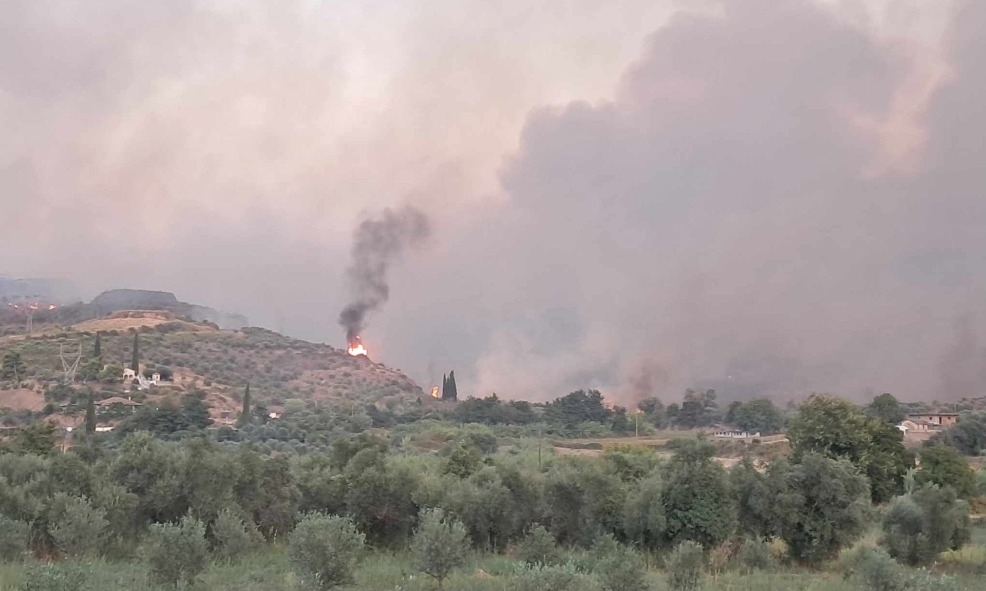 Φωτιά τώρα στο Χελιδόνι Αρχ. Ολυμπίας – Μήνυμα από το 112 για απομάκρυνση προς Πύργο