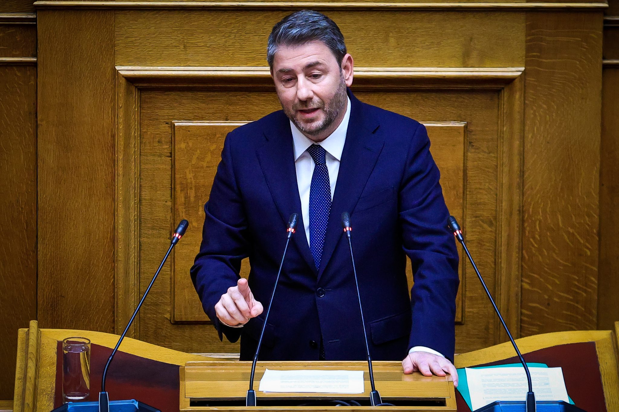 Νίκος Ανδρουλάκης